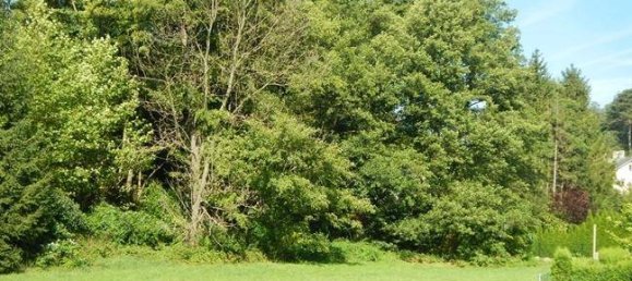 Terreno em Heiligenkreuz, Austria N.º 162524 2