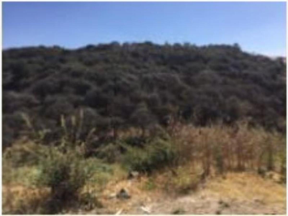  قطعة أرض في Ciudad Lopez Mateos, Mexico رقم 206283