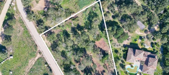 Grundstück in Zonza, France, Nr. 270787 2