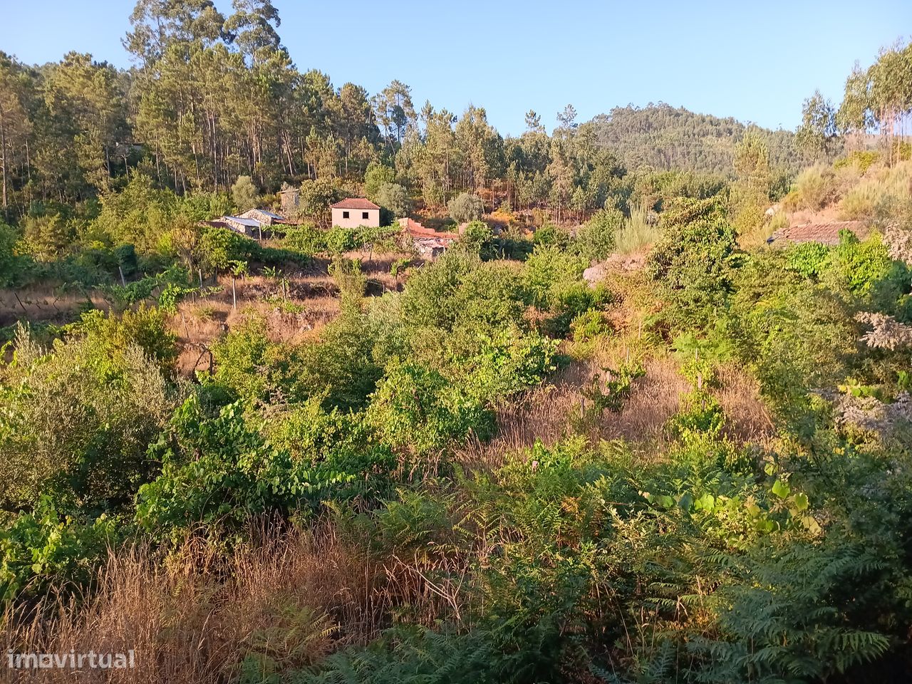 10500m² Land in Oliveira de Frades, Portugal No. 218174