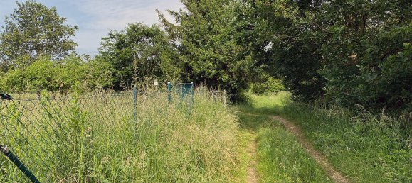 Таунхаус с 4 комнатами в Хайнсберг, Германия № 143460 4