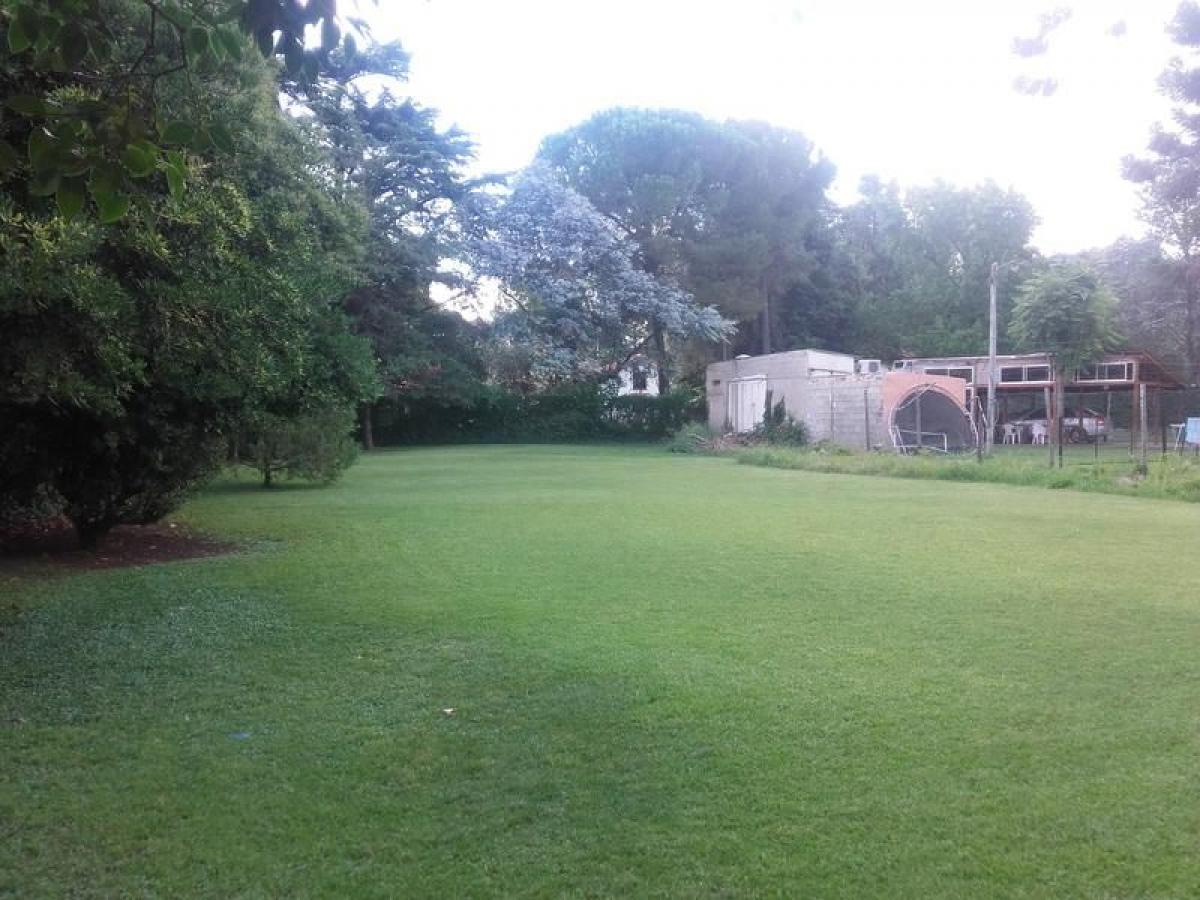  Land in Corrientes, Argentina No. 31104