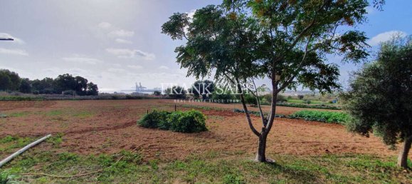 3 Schlafzimmer Bauernhof in Birzebbuga, Malta, Nr. 6261 2