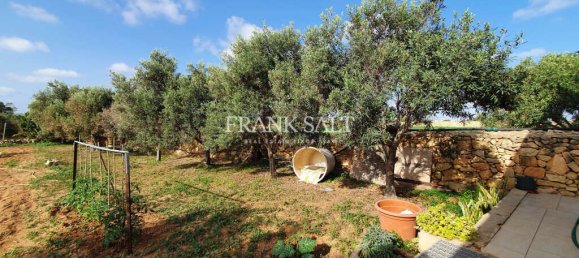 3 Schlafzimmer Bauernhof in Birzebbuga, Malta, Nr. 6261 3