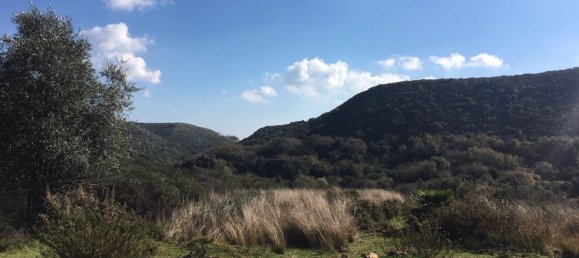 Land in Alcorrin, Spain No. 150191 3