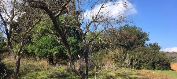 Land in Alcorrin, Spain No. 150191 5