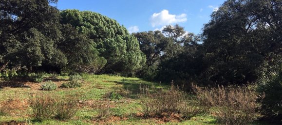 Land in Alcorrin, Spain No. 150191 17