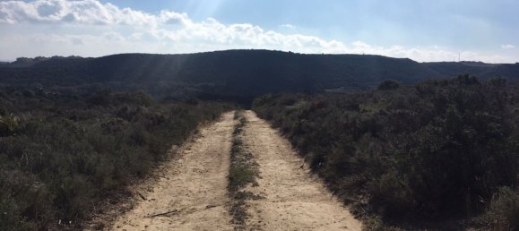 Land in Alcorrin, Spain No. 150191 25