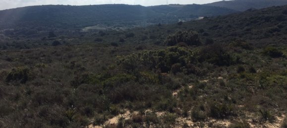 Land in Alcorrin, Spain No. 150191 28