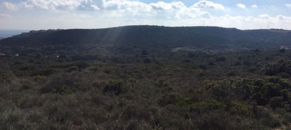 Land in Alcorrin, Spain No. 150191 26