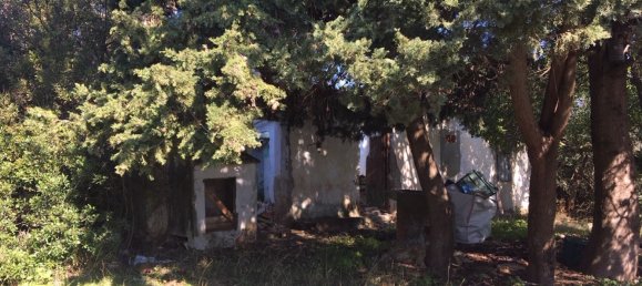 Land in Alcorrin, Spain No. 150191 6