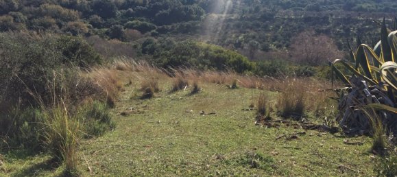 Land in Alcorrin, Spain No. 150191 13