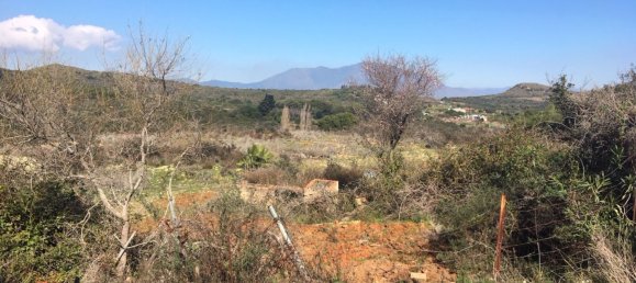 Land in Alcorrin, Spain No. 150191 33