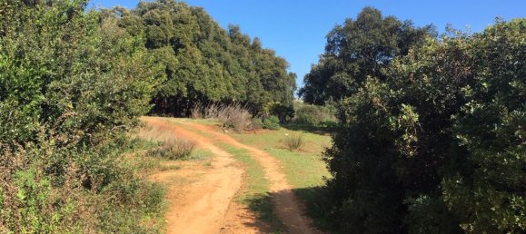 Land in Alcorrin, Spain No. 150191 14