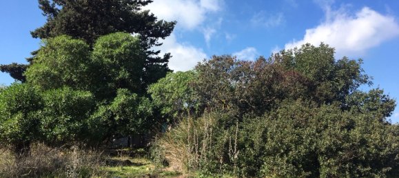 Land in Alcorrin, Spain No. 150191 15