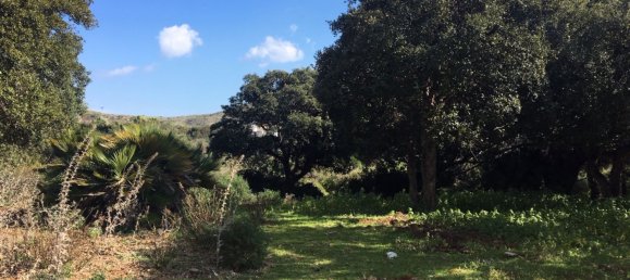 Land in Alcorrin, Spain No. 150191 12