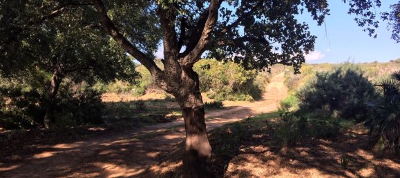 Land in Alcorrin, Spain No. 150191 20