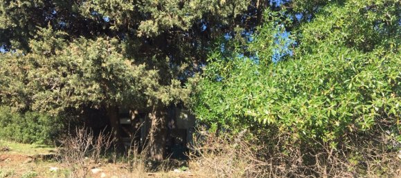 Land in Alcorrin, Spain No. 150191 10