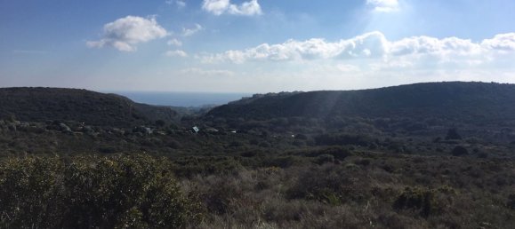 Land in Alcorrin, Spain No. 150191 21