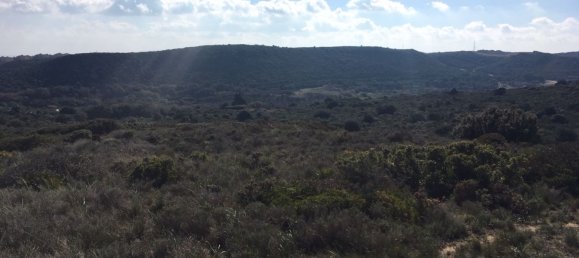 Land in Alcorrin, Spain No. 150191 24