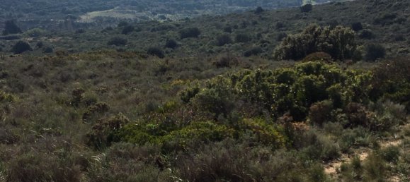 Land in Alcorrin, Spain No. 150191 27