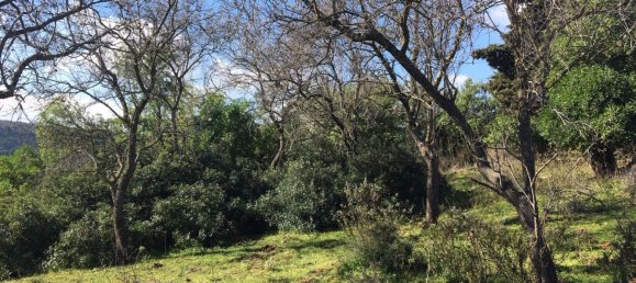 Land in Alcorrin, Spain No. 150191 16