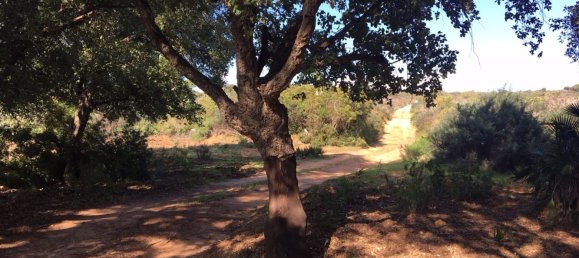 Land in Alcorrin, Spain No. 150191 18