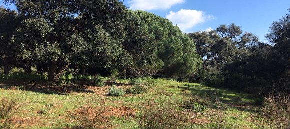 Land in Alcorrin, Spain No. 150191 19