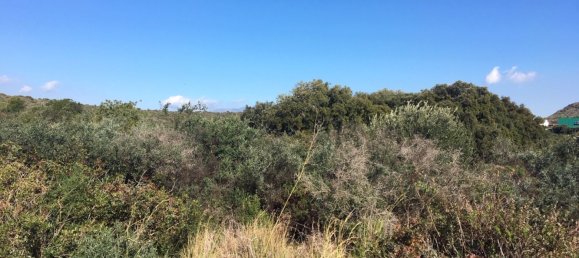 Land in Alcorrin, Spain No. 150191 9