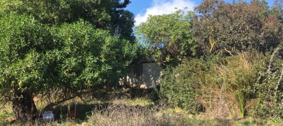 Land in Alcorrin, Spain No. 150191 4