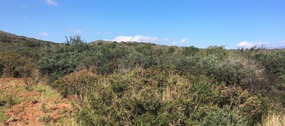 Land in Alcorrin, Spain No. 150191 8