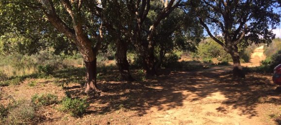 Land in Alcorrin, Spain No. 150191 7