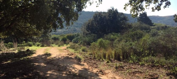 Land in Alcorrin, Spain No. 150191 32