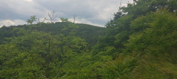 Земельный участок в Кремс ан дер Донау, Австрия № 13396 2