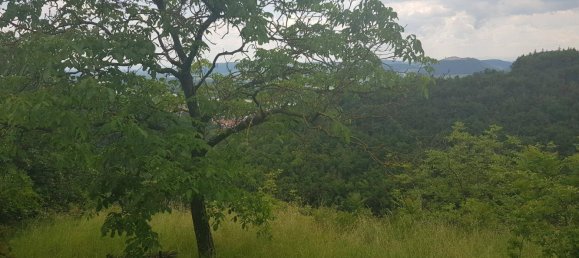 Земельный участок в Кремс ан дер Донау, Австрия № 13396 6