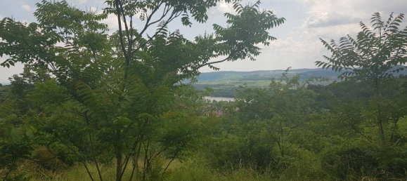 Земельный участок в Кремс ан дер Донау, Австрия № 13396 4