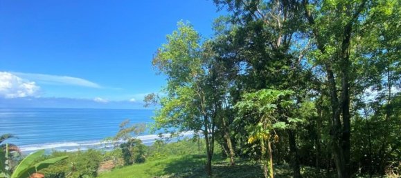 Terreno em Puerto Jimenez, Costa Rica N.º 1788 4