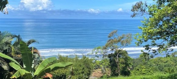 Terreno em Puerto Jimenez, Costa Rica N.º 1788 3