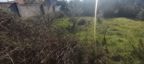 550m² Land in Sardinia, Italy No. 277575 2
