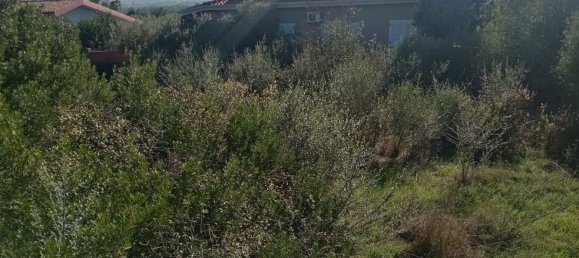 550m² Land in Sardinia, Italy No. 277575 4