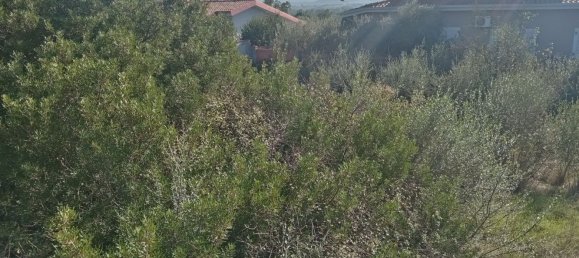 550m² Land in Sardinia, Italy No. 277575 8