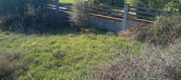 550m² Land in Sardinia, Italy No. 277575 12