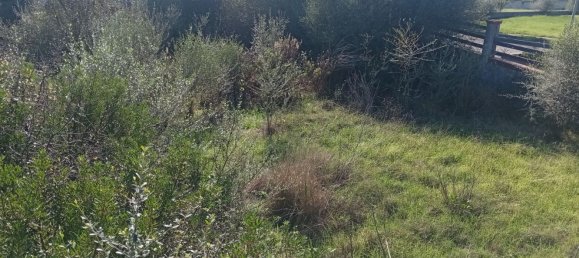 550m² Land in Sardinia, Italy No. 277575 7