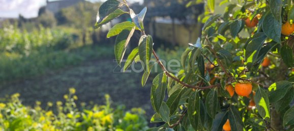 4 غرف نوم منزل في Viseu, Portugal رقم 64136 49