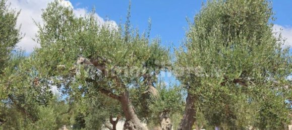 4 bedrooms House in Ostuni, Italy No. 275153 36