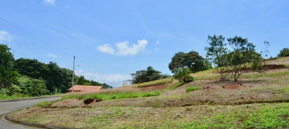 Земельный участок в Гресия, Коста-Рика № 1953 2