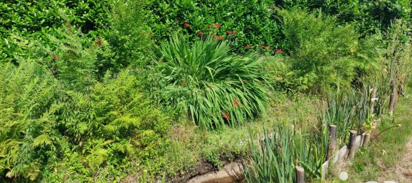 Grundstück in Saugnac-et-Cambran, France, Nr. 110085 4