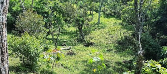 Terreno em Aserri, Costa Rica N.º 1797 3
