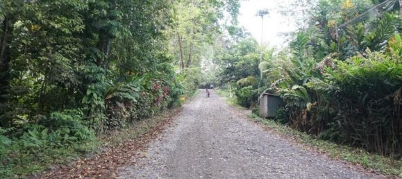 Terreno em Limon, Costa Rica N.º 1416 6
