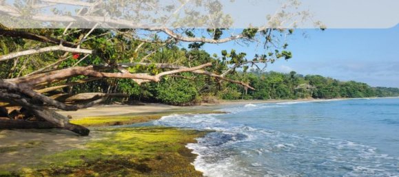 Terreno em Limon, Costa Rica N.º 1416 2